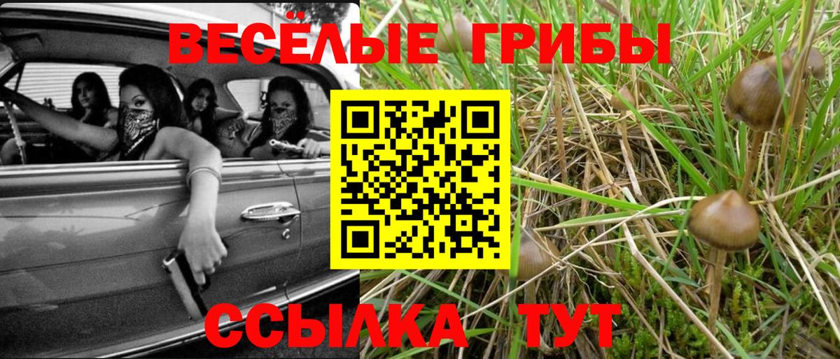 Псилоцибиновые грибы GOLDEN TEACHER Чехов