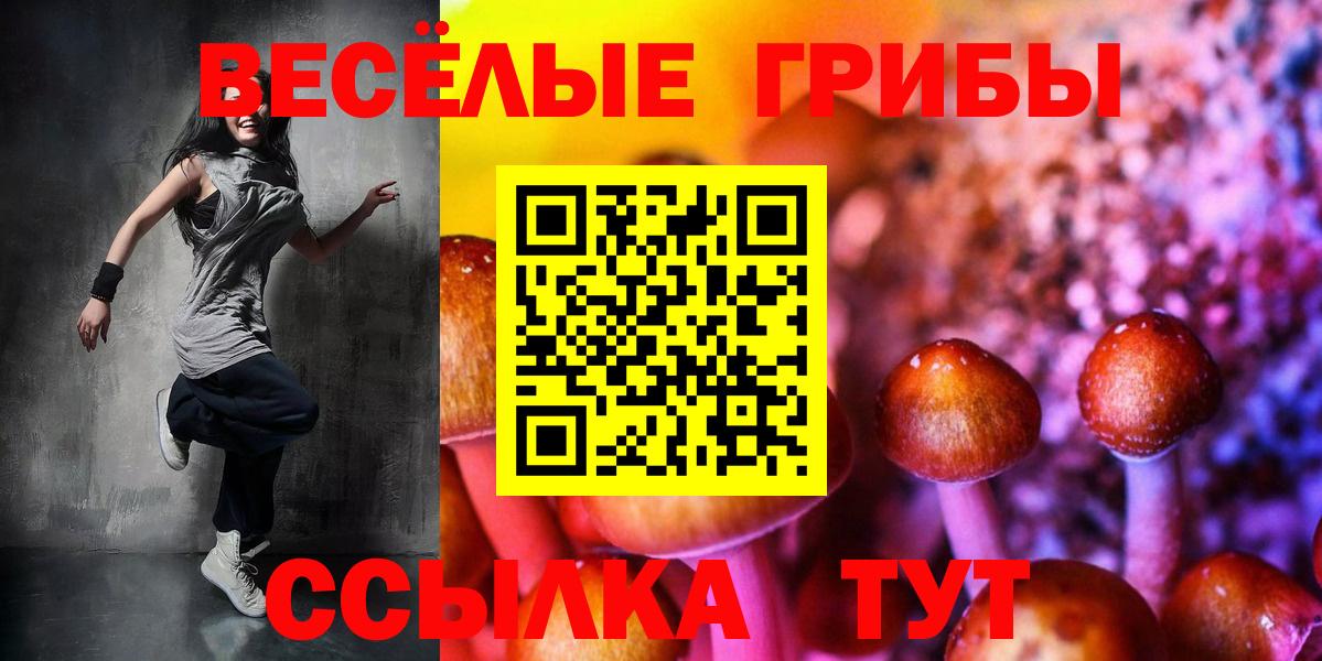 Чехов  Псилоцибиновые грибы MAGIC MUSHROOMS  Псилоцибиновые грибы прущие грибы  Вход с VPN 